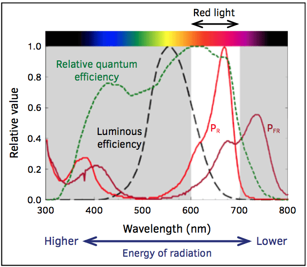 Marijuana Light Spectrum Chart
