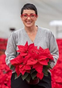 'FabYULEous' poinsettia