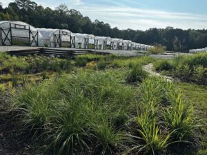 Greenhouses in a row
