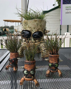 Miscanthus PlantHaven