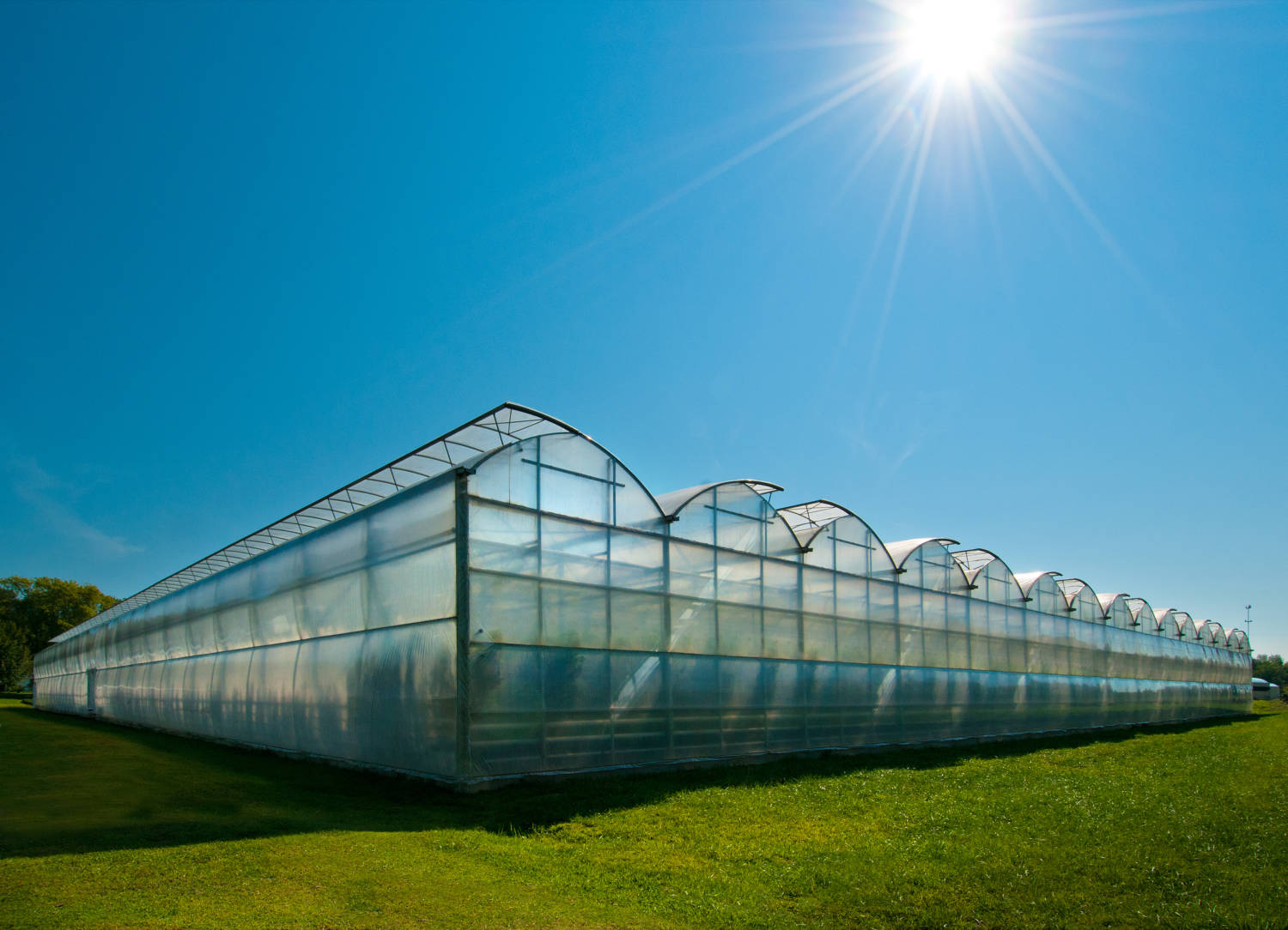 ...Total Energy Group (TEG) and Paul Boers Ltd./Prins Greenhouses as new ce...
