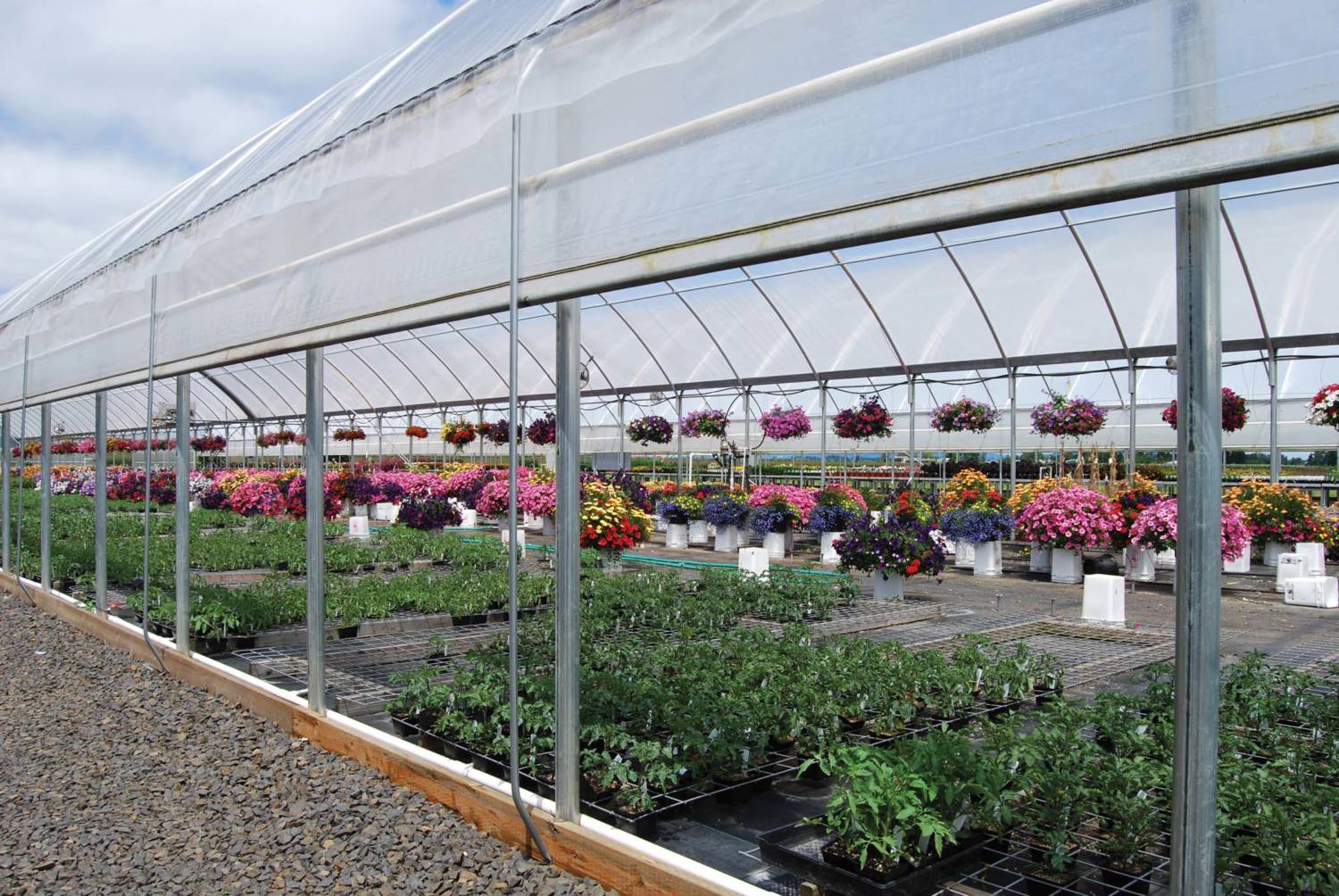 Efficient Greenhouse Design Greenhouse Product News