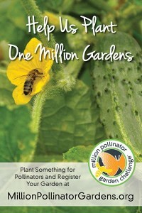POP material: Million Pollinator Garden Challenge