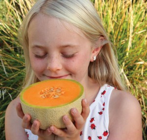 Melon plants are easy to grow and there are many different varieties suited for each part of the country.