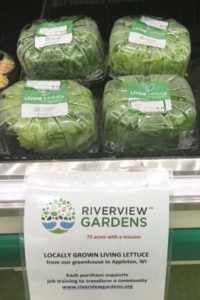 RVG lettuce