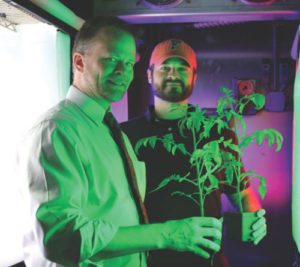 University of Florida researchers Kevin Folta (left) and Thomas Colquhoun are studying the effects LED lights have on the state’s high value crops, including strawberries and tomatoes. 
