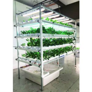 Vertical Nft System Greenhouse Product News