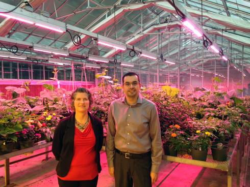 Michigan State University, Philips Lighting Team - Greenhouse Product News