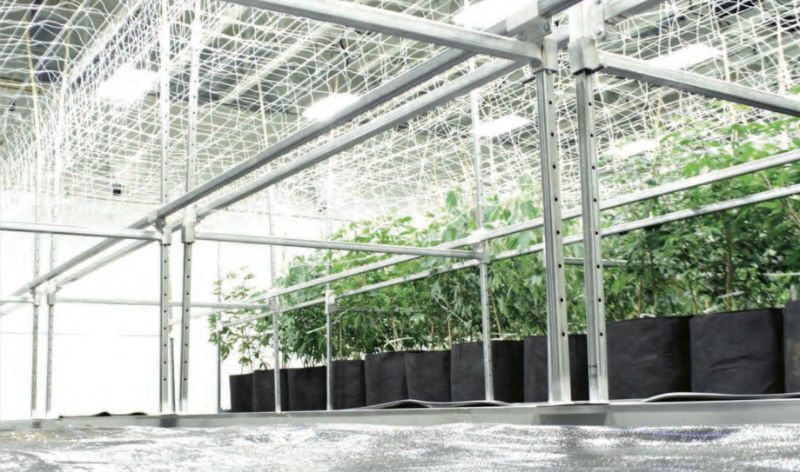 Going Capillary On Cannabis Greenhouse Product News