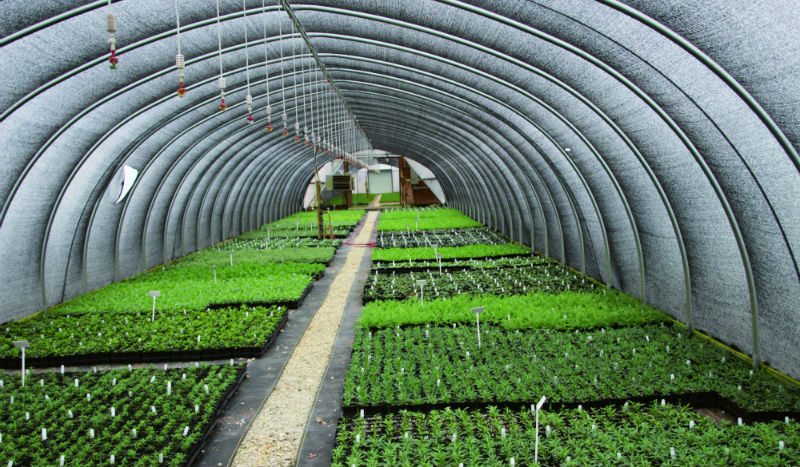 Cover Story A Unique Approach Greenhouse Product News