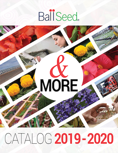 Ball Seed Publishes 2019-20 Catalog - Greenhouse Product News