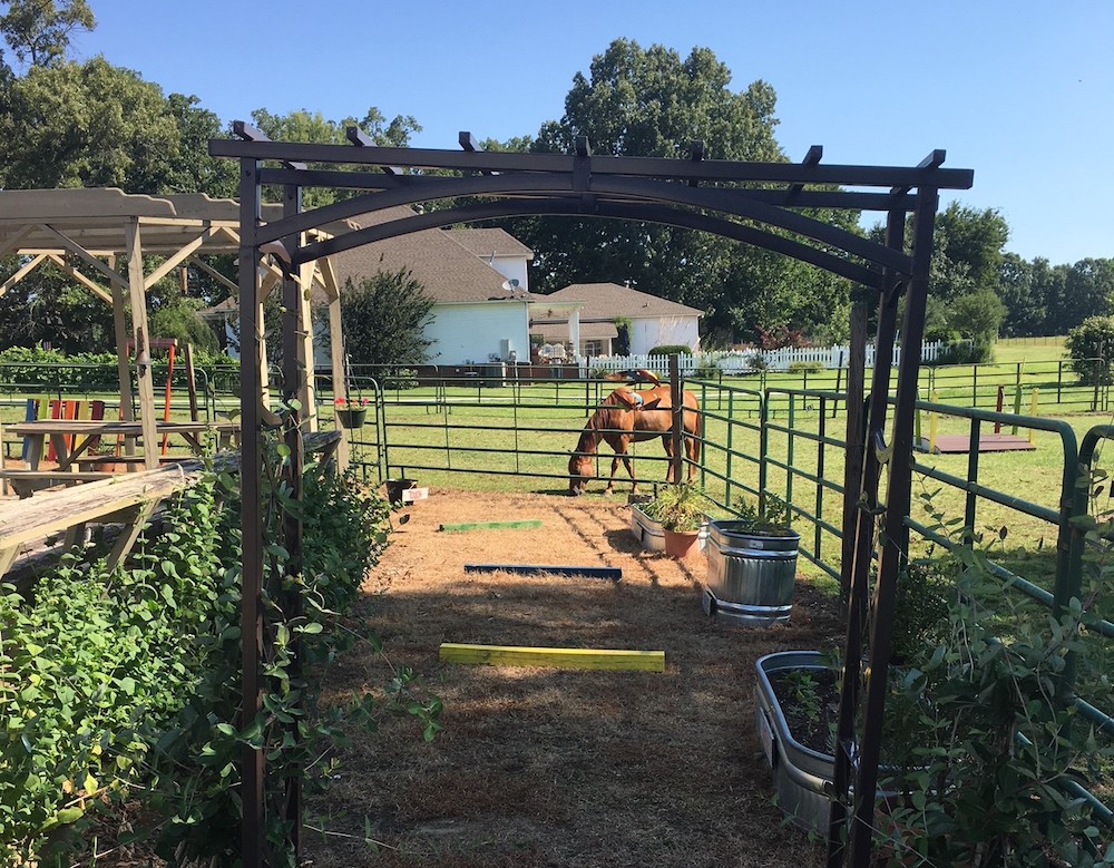 NGB Awards Therapeutic Garden Grants Greenhouse Product News