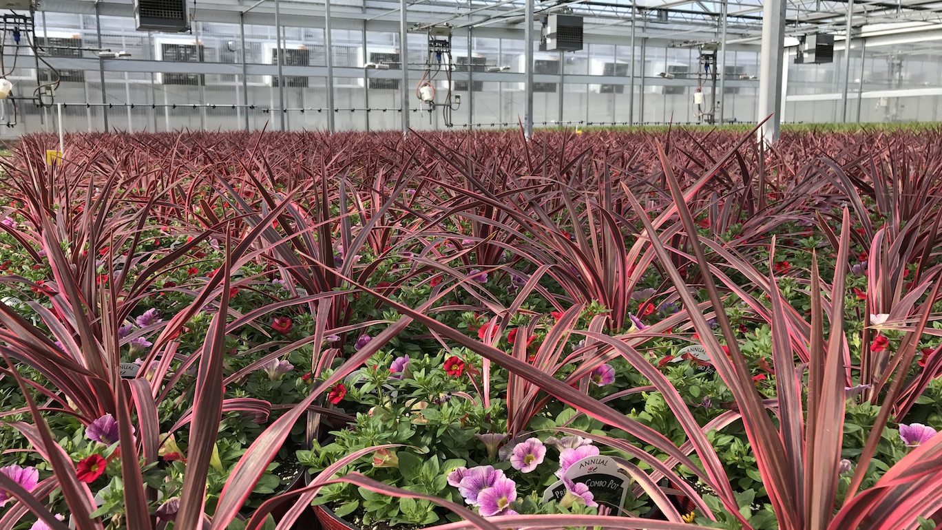 Cover Story Improving Tomorrow From The Ground Up Greenhouse Product News