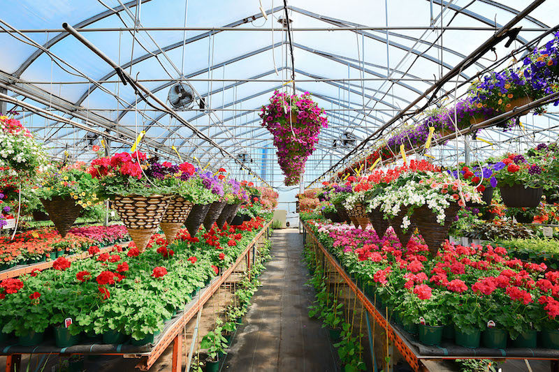 Expand Your Greenhouse Complex Easily With Harnois Greenhouse Product News