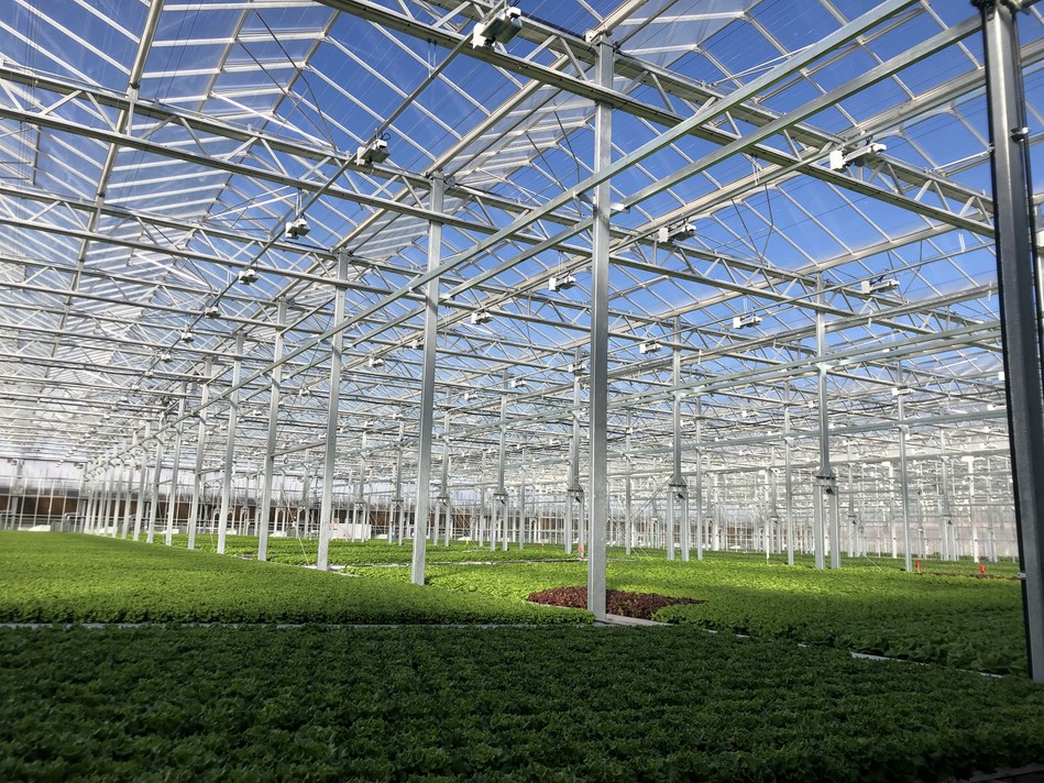 Whole Foods Partner Gotham Greens Opens New Greenhouse In The