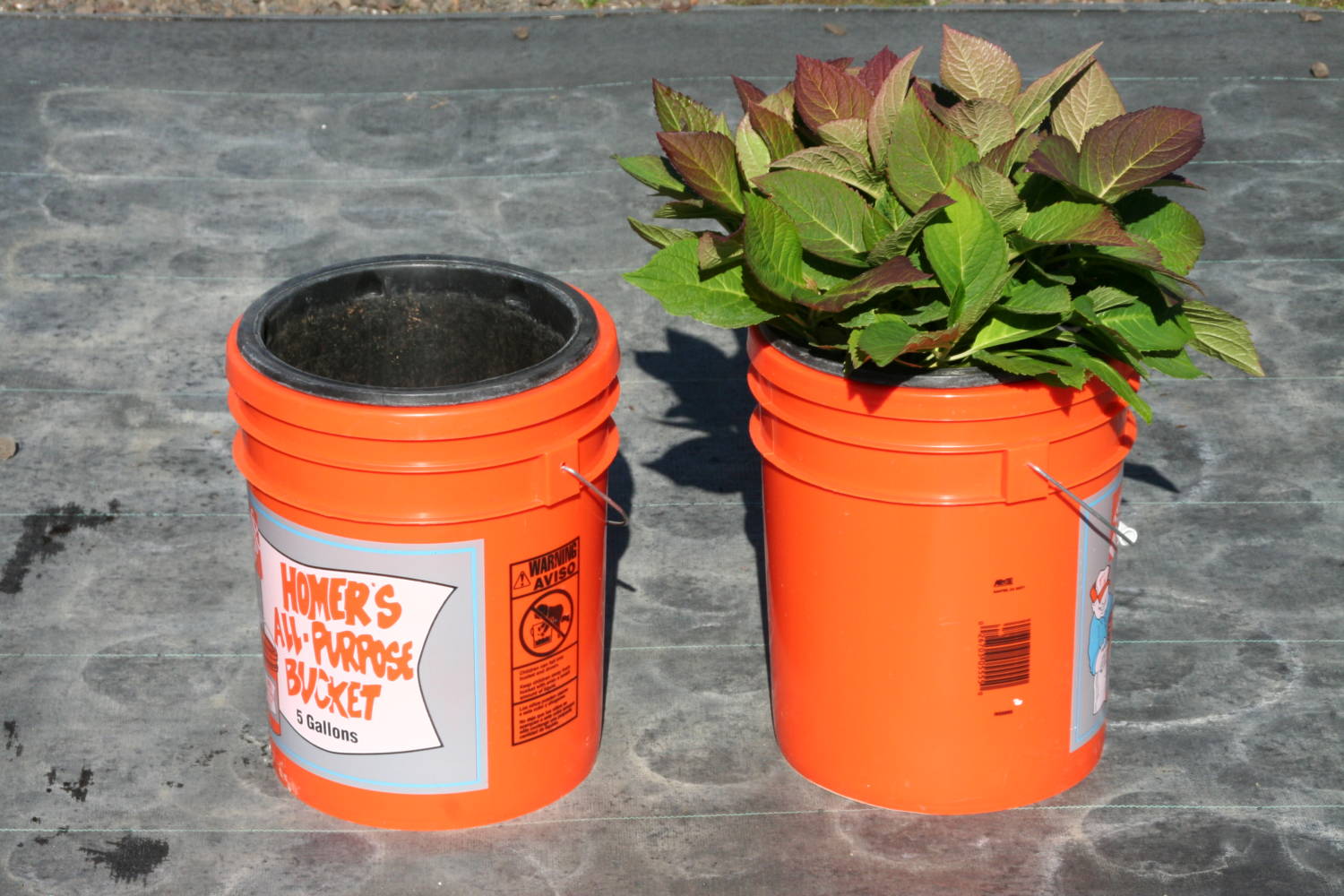 Managing Irrigation by Measuring Leachate Greenhouse Product News