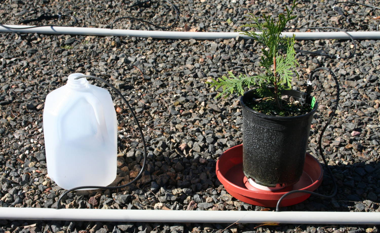 Managing Irrigation by Measuring Leachate Greenhouse Product News