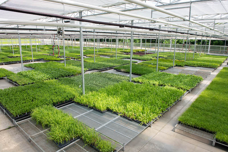 How Greenhouse Growers Can Plan for Delays in the Supply Chain - Greenhouse  Grower