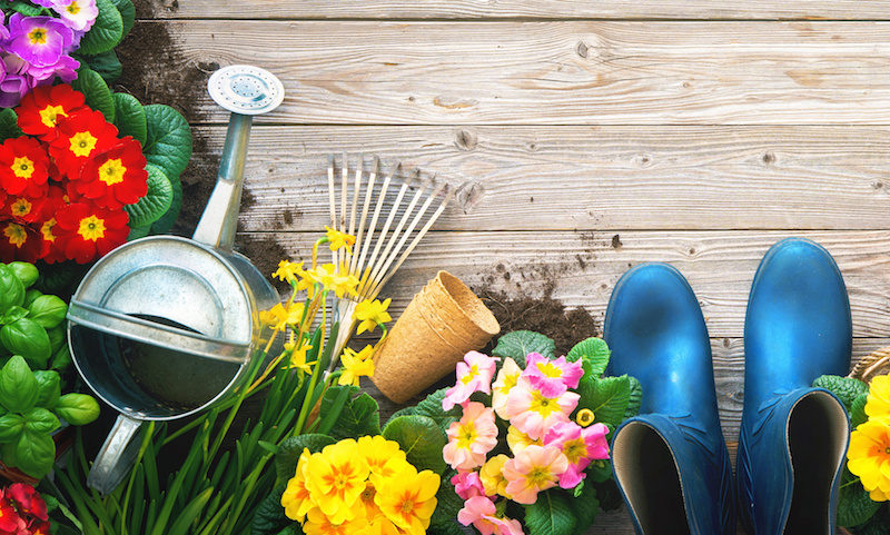 Gardening tools and spring flowers