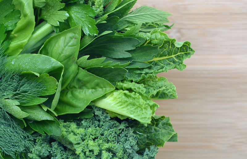 Fertilizing Specialty Leafy Greens Greenhouse Product News