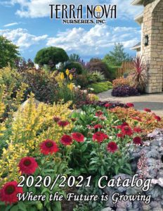 Terra Nova catalog 2021
