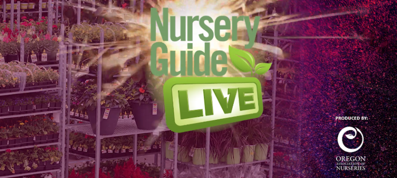Nursery Guide LIVE