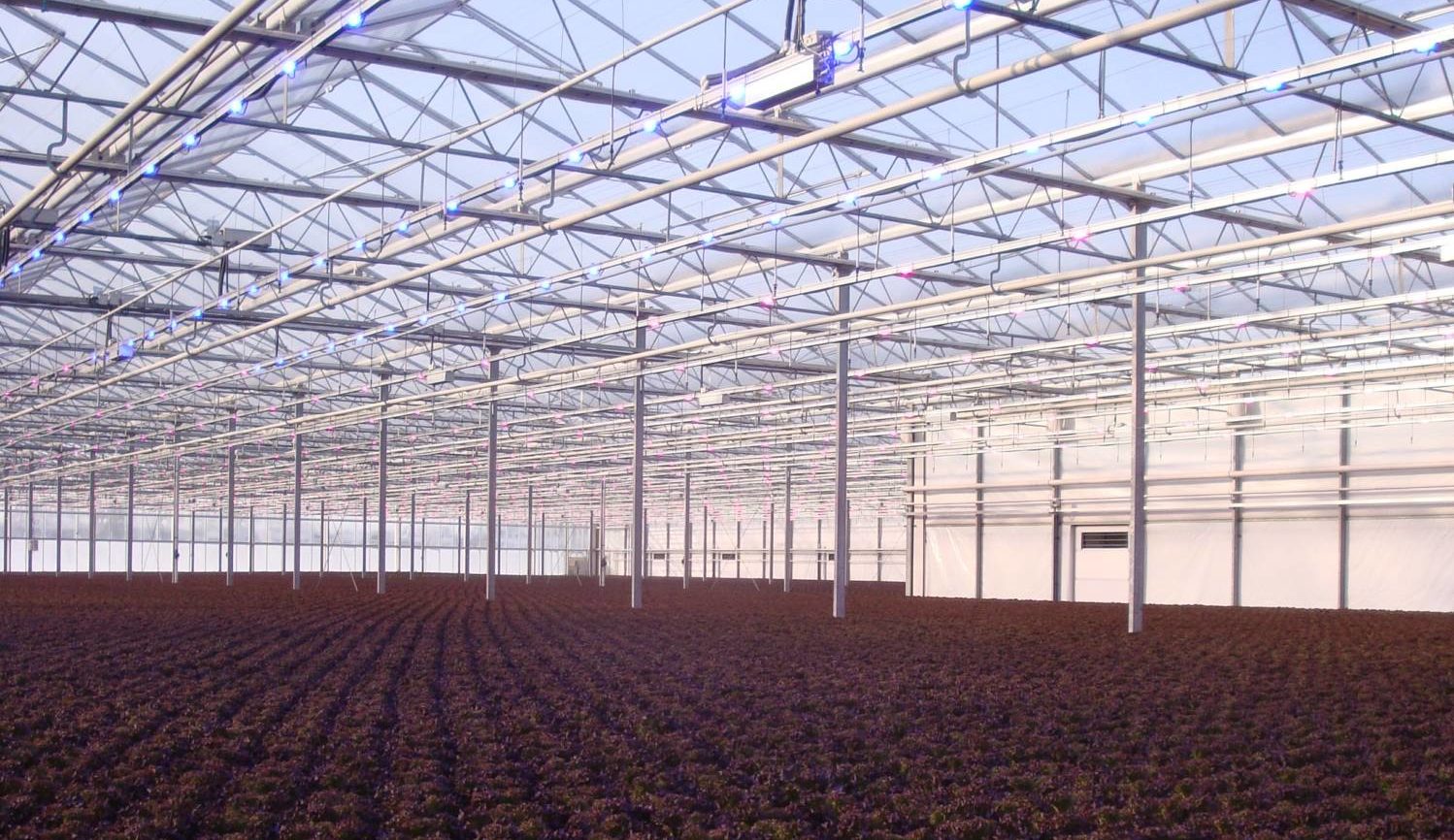 Increasing the Daily Light Integral Greenhouse Product News