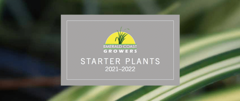 Emerald Coast Growers resource guide