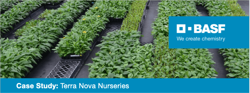 Case Study: Terra Nova Nurseries
