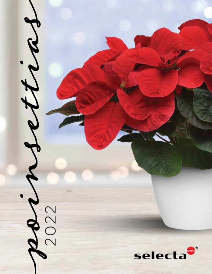 Selecta One Debuts 2022 Poinsettia Catalog Greenhouse Product News