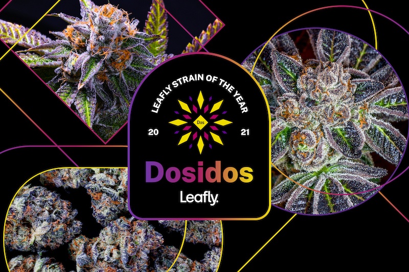 Leafly 2021 Cannabis Strain of the Year