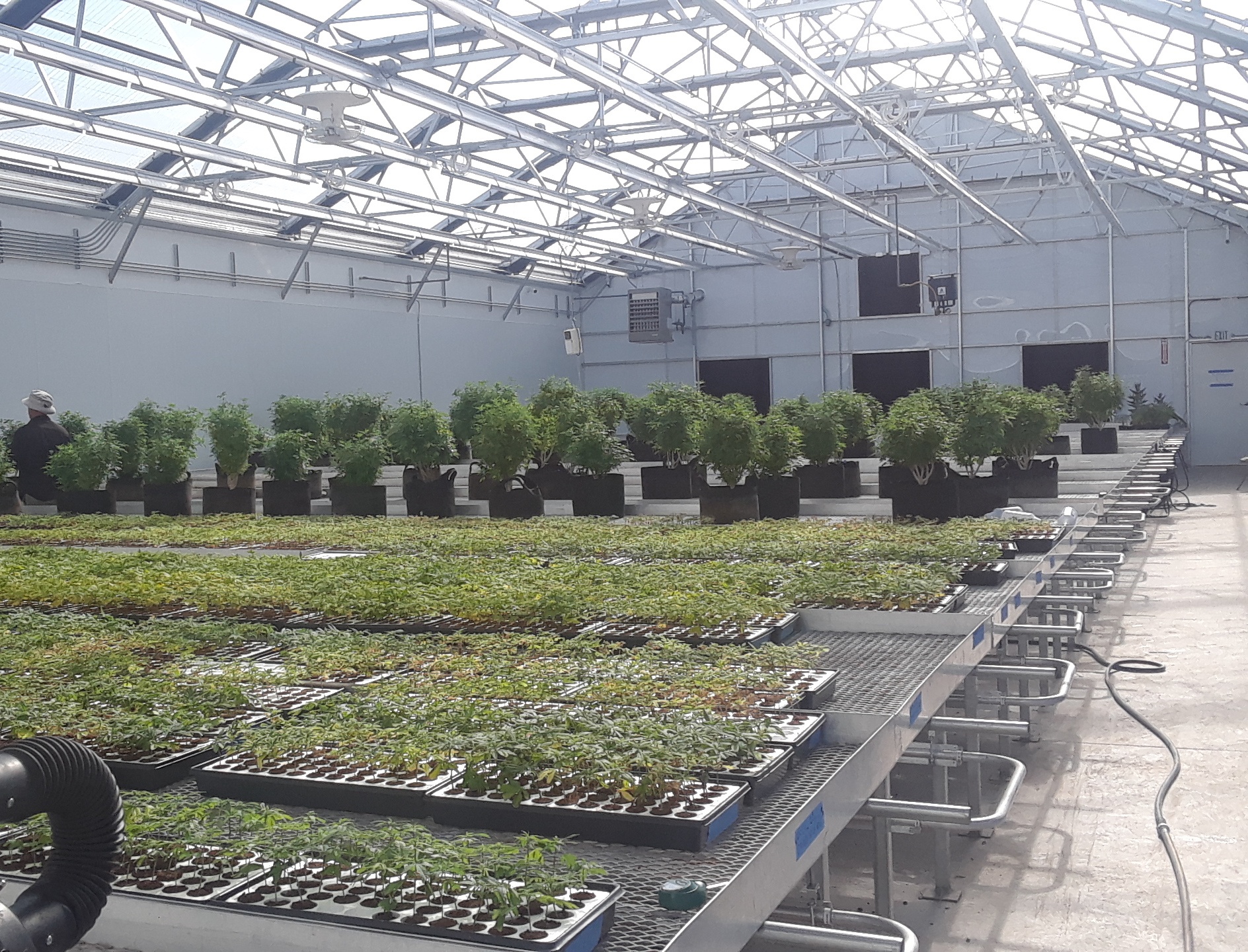 Rolling benches Greenhouse Product News