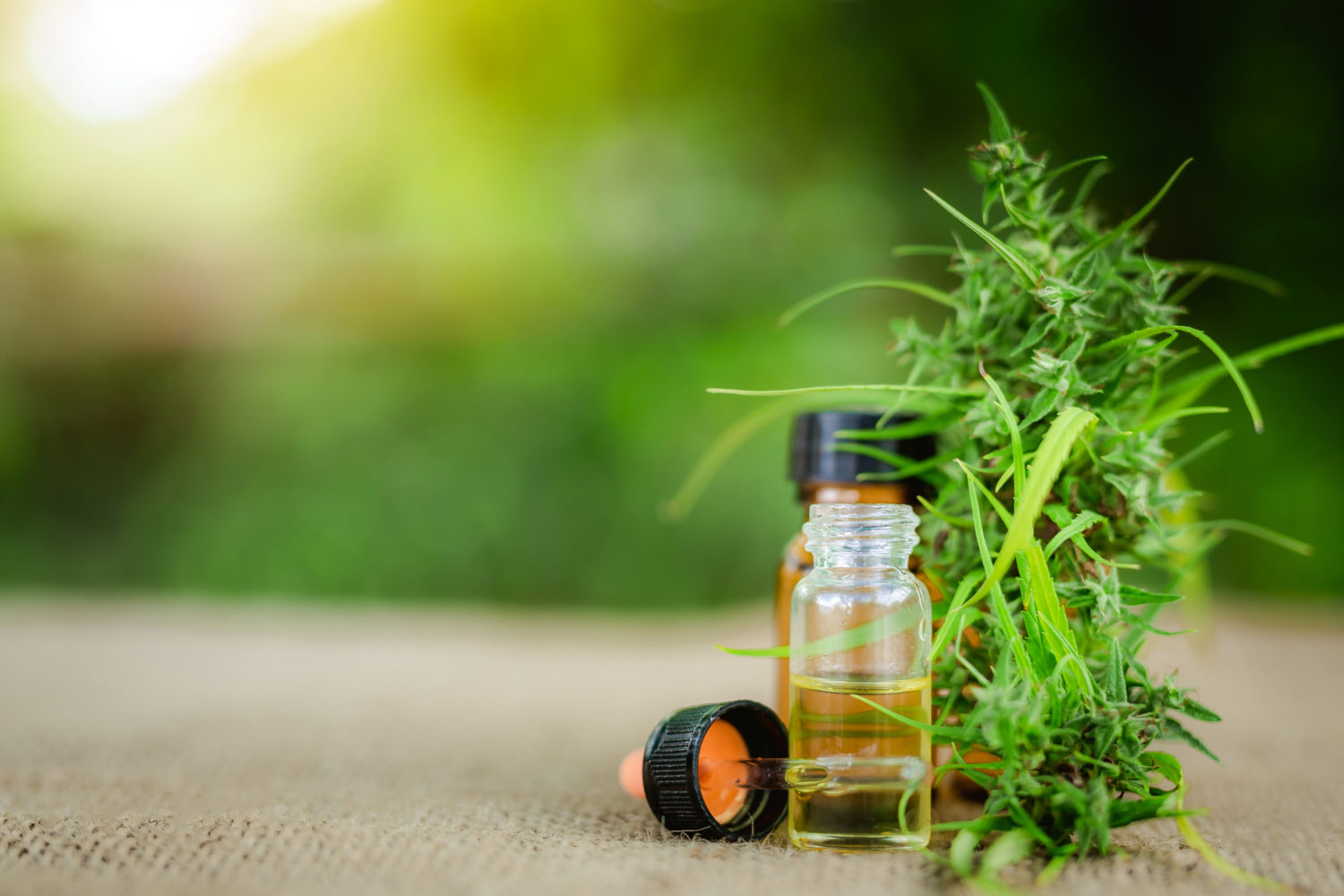 MedMen Acquires PharmaCann Greenhouse Product News