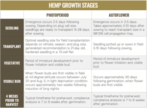 hemp growth stages
