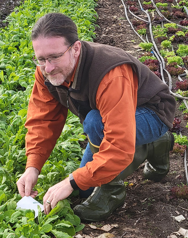 Mark Ledebuhr of Application Insight works with growers to solve greenhouse pest problems.