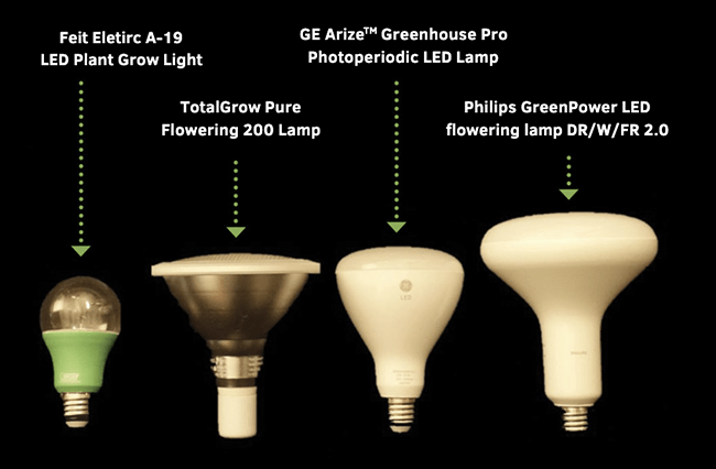 Figure 2. Low-intensity LED lamps used in the study.