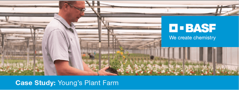 Case Study: Young’s Plant Farm