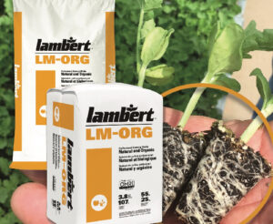 Organic Germination Mix — Lambert