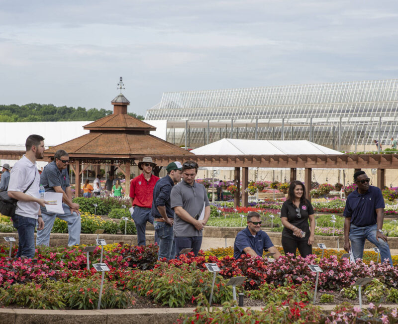 Trial Gardens open house at Metrolina Greenhouses scheduled for June