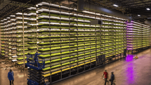 Indoor vertical farming equipment