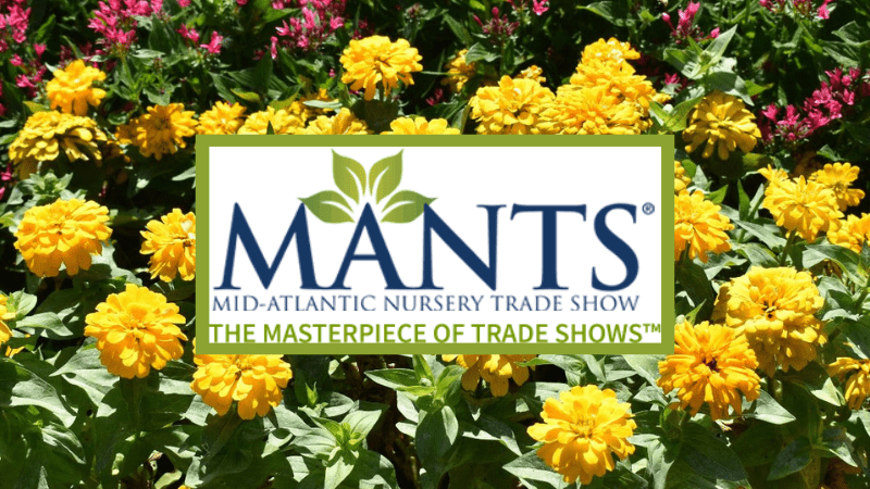 MANTS Logo with yellow flowers in the background