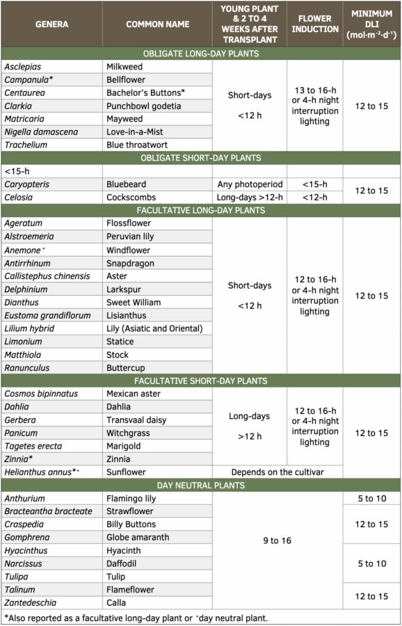 Table 1. Genera and common names of common specialty cut flowers and their flowering responses to day length. Daylength and daily light integral (DLI) recommendations are provided for young plant production and for flower induction.