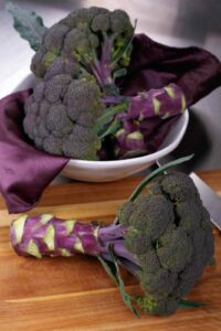 Broccoli Purple Magic F1