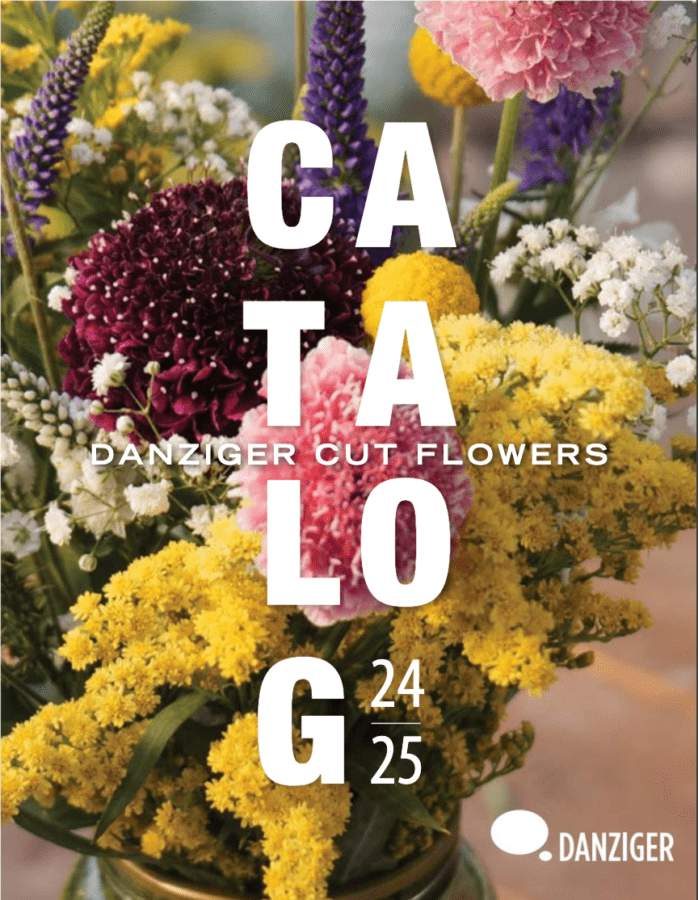 Danziger Publishes 2023 2024 Cut Flower Catalog Greenhouse Product News   Danziger Publishes 2023 2024 Cut Flower Catalog 698x900 