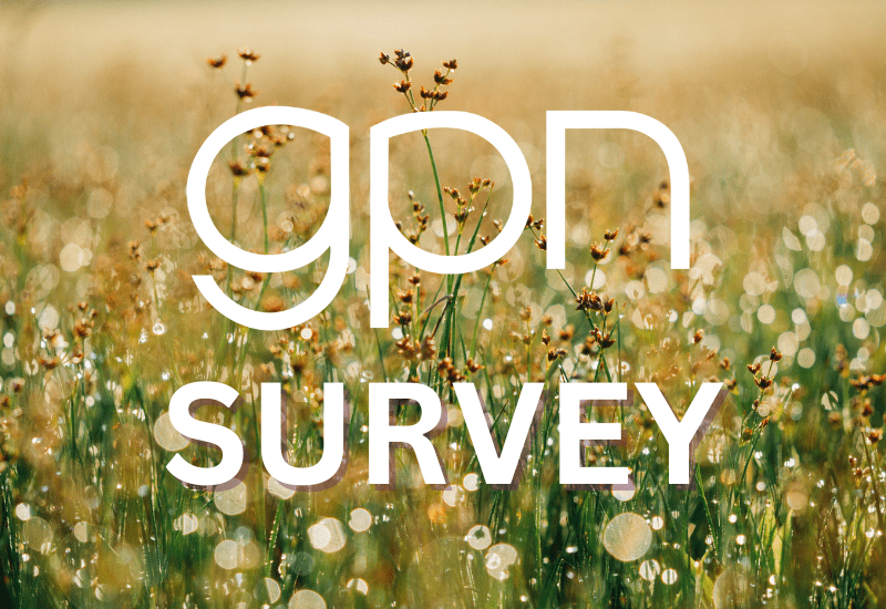 GPN Survey feature image