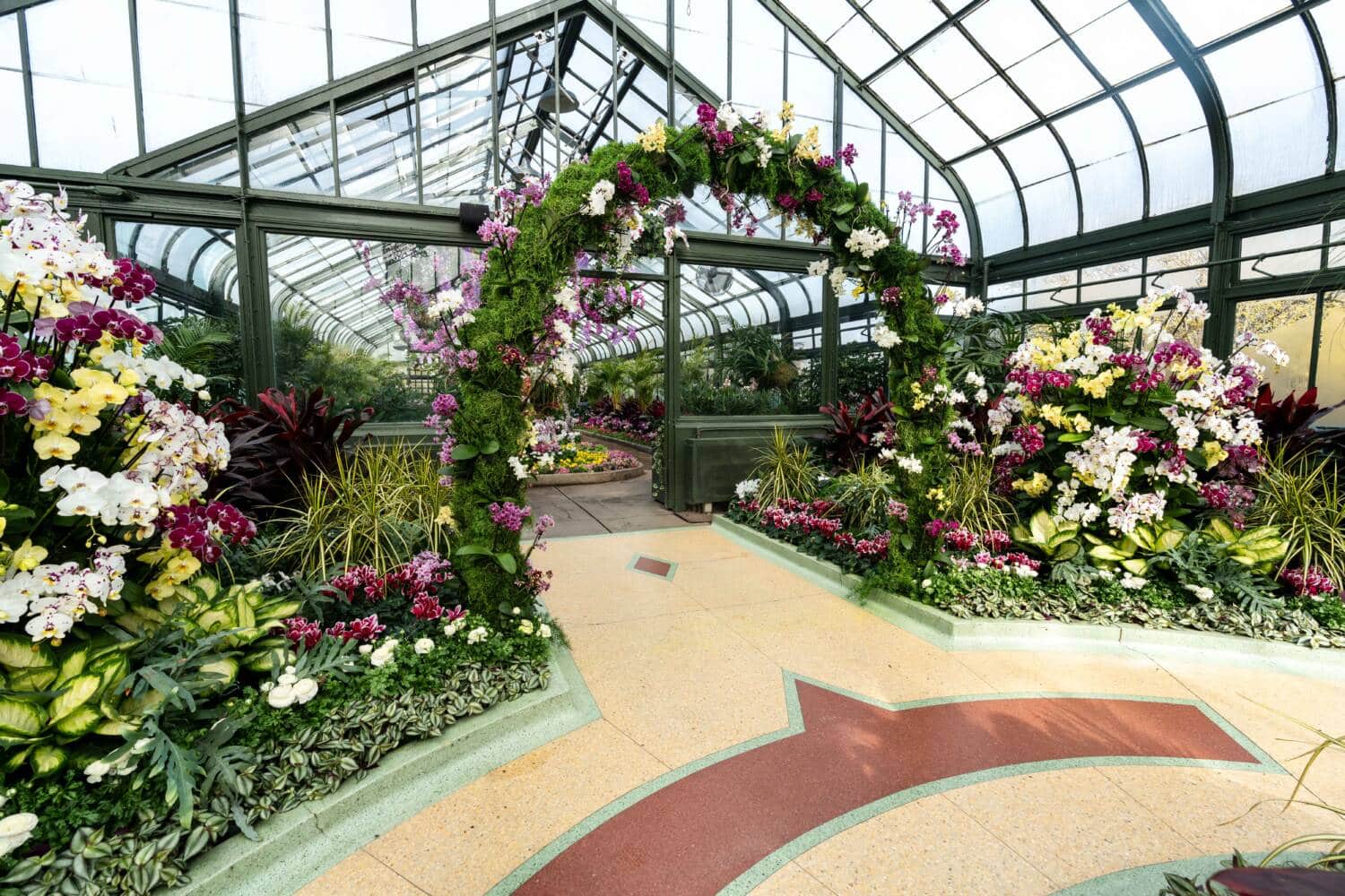 2024 Orchid Show-4