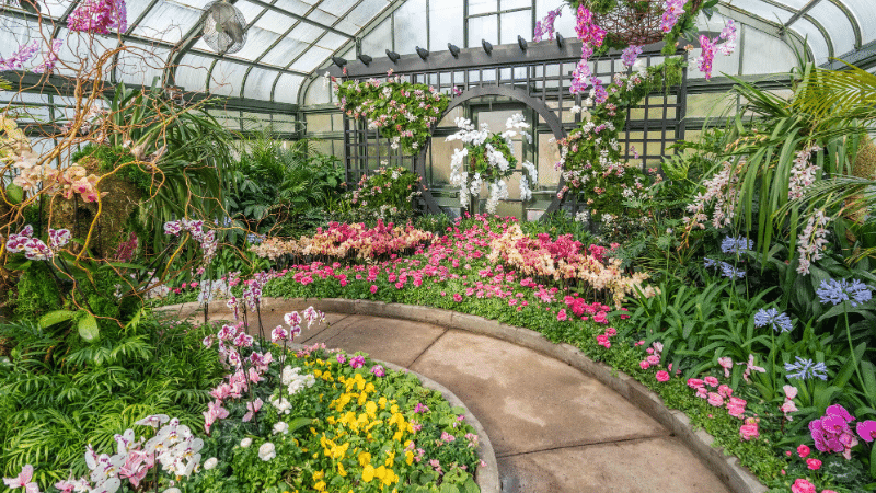 Niagara Parks orchid show showhouse