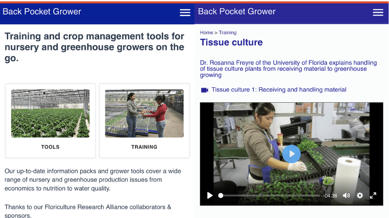 The University of Florida IFAS (UF/IFAS) Extension and FreshLearn have released a major update to the popular and free BackPocketGrower.org website.