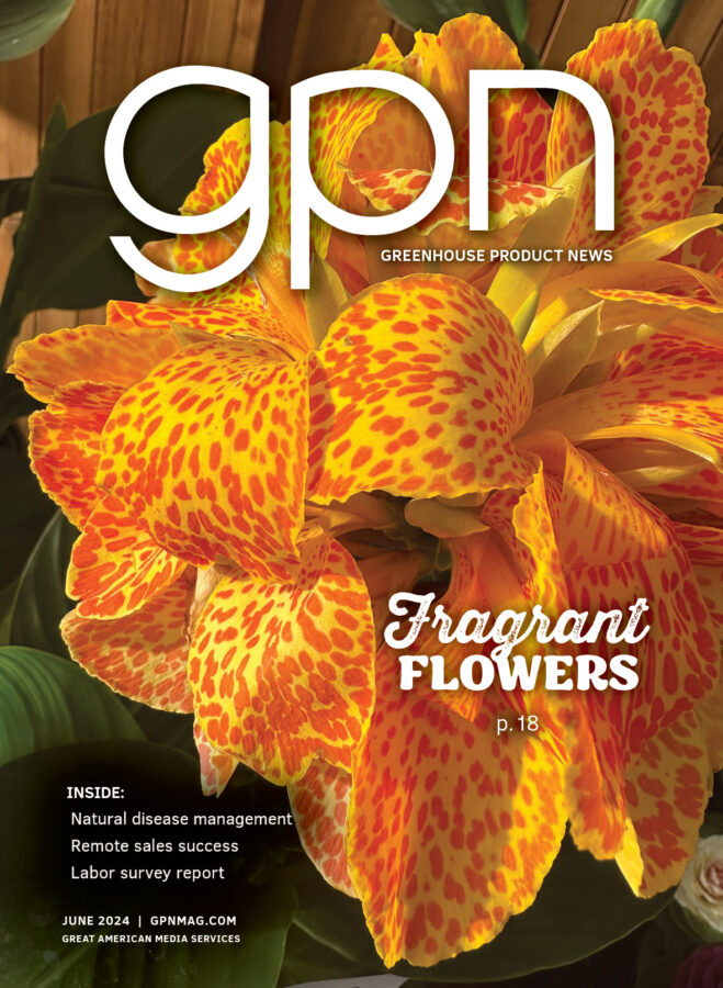 June 2024 GPN cover