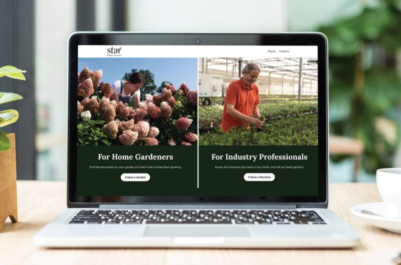 Star Roses and Plants newly redesigned website mockup